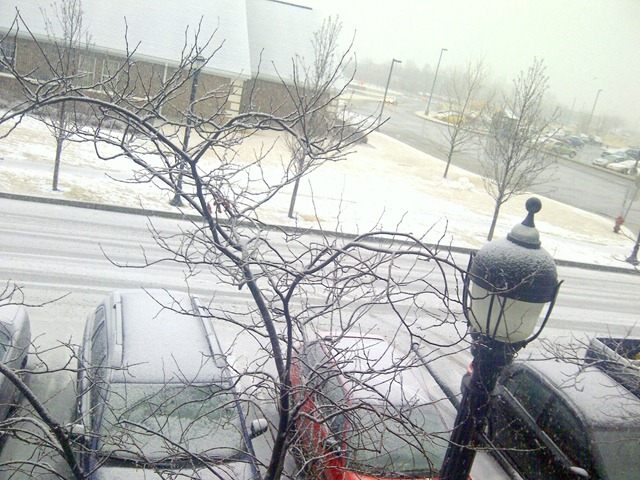 [IMG-20120123-02509%255B7%255D.jpg]