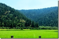 IMG_0946 IMG_0946