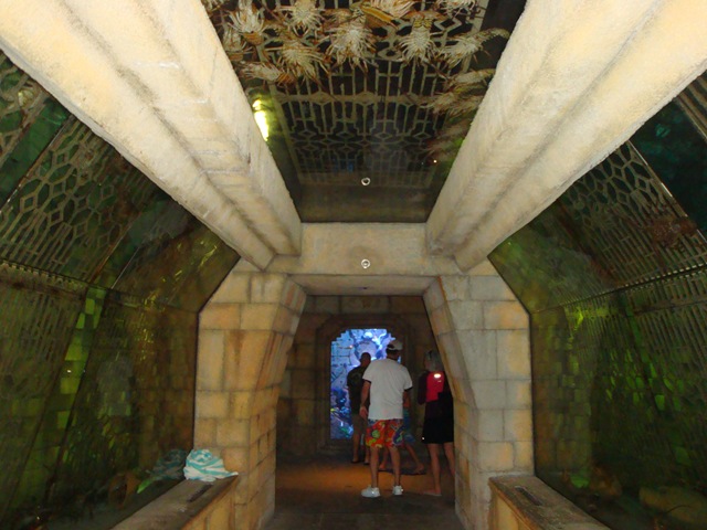 [DSC03733%255B3%255D.jpg]