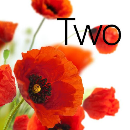 Poppies 8 Table Number/Name