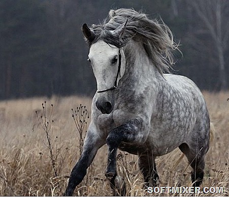 [rysak_w568_h388_nocrop%255B11%255D.jpg]