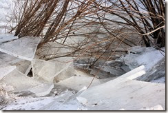 Ice slabs on the Susquehanna riverbank at Wrightsville, by Sue Reno