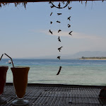 DSC_2437.JPG