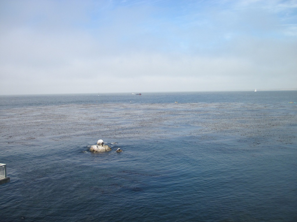 [IMG_0683%255B4%255D.jpg]