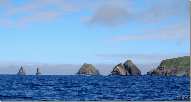 DSC_1296 DSC_1296