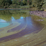 IMAG0020.jpg