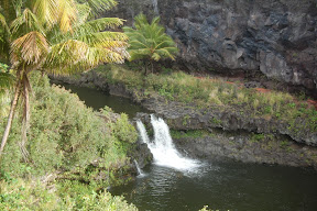 DSC_1000.JPG