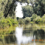 DSCN9380.JPG