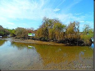 SAM_0115 SAM_0115