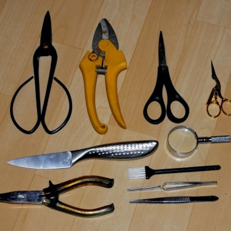 Tools for The Beginning Bonsai Artist.