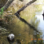 DSCN4488.JPG