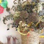 DSCN1813.JPG