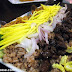 Kao Kluk Kapi (Bagoong rice) at Bangkok Wok
