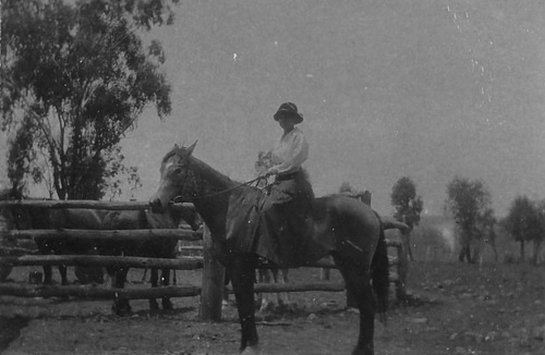 [Aunt%2520Ellie%2520Inverell%255B6%255D.jpg]