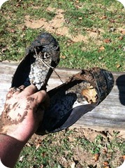 IMG_0480 IMG_0480