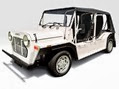 New-Moke-8 New-Moke-8