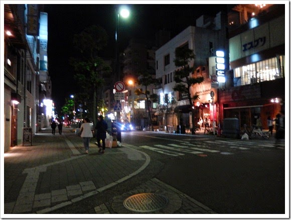 廣島華盛頓酒店_周圍環境_22