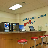 meow bow wow cafe new shelter.JPG