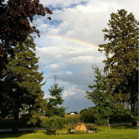 rainbow rainbow