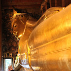 IMG_7939.JPG