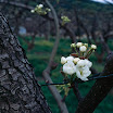 20070420020-Edit.jpg