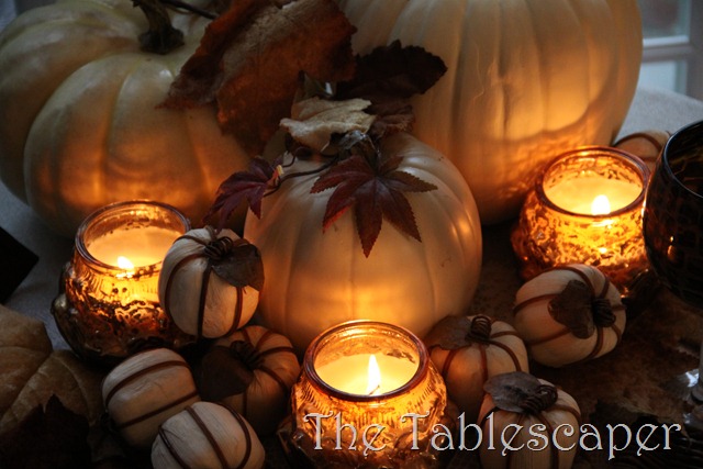 [Fall-0123.jpg]