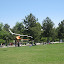 YAVRU TEMA GÜNÜ ve ÇEVRE ŞENLİĞİ - 26 MAYIS 2010