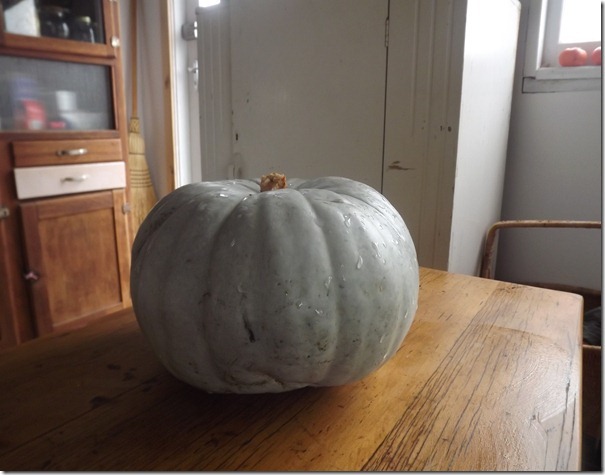 [DSCF2040_thumb12.jpg]