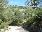  &ndash; 25-jul-2008