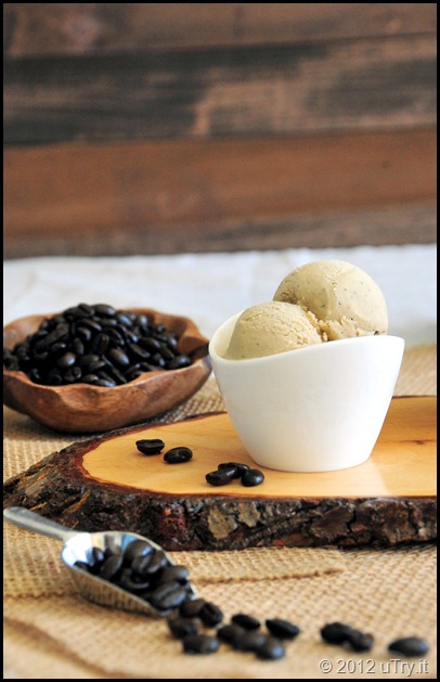 French Roasted Coffee Ice Cream