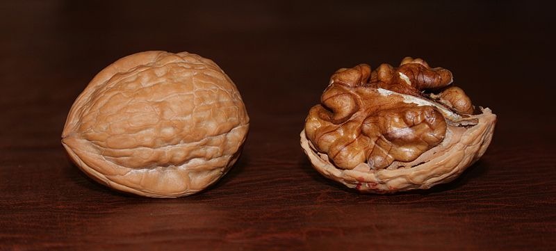 [Walnut2%255B7%255D.jpg]