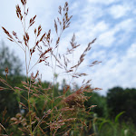 Скрипинская Мария.JPG