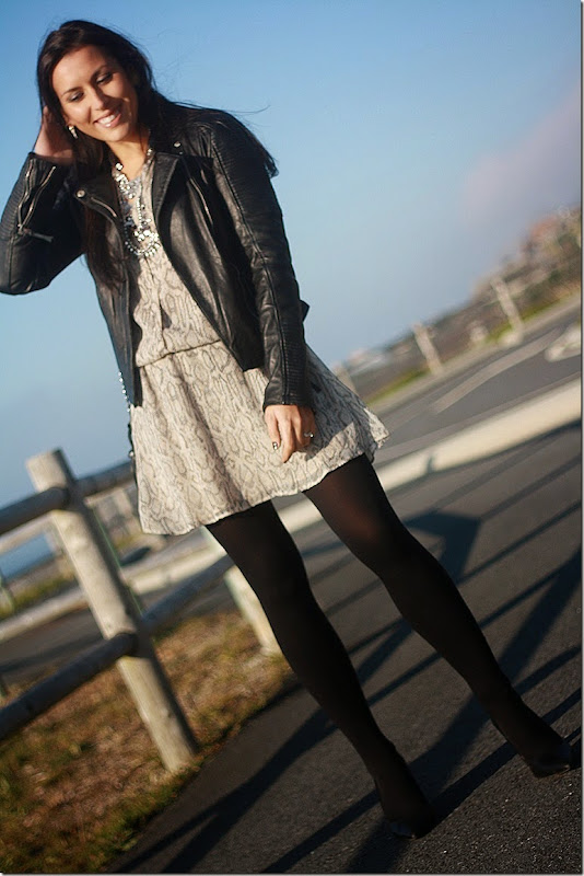 IMG_2111 IMG_2111