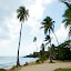 Anse Figuier