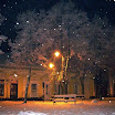 cvetika-prsa-lezak.jpg
