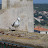 DSC05452.JPG
