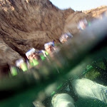 DRK55thTrip21112