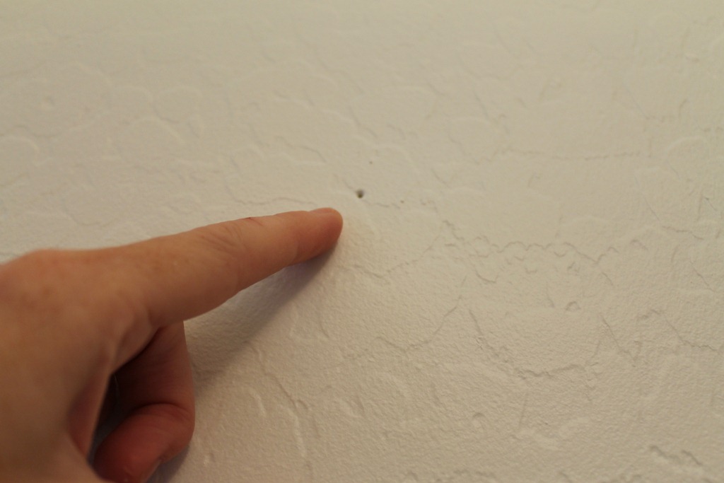 [art%2520017%255B3%255D.jpg]