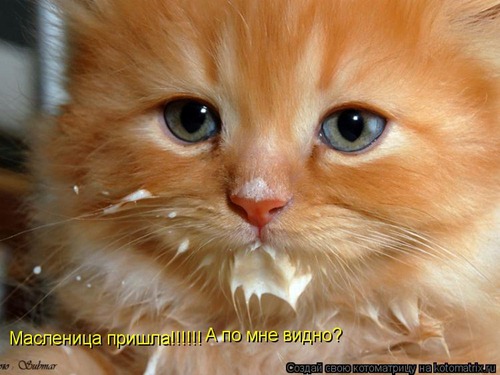 Масленица пришла!