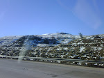 IMG00569-20100128-0848.jpg