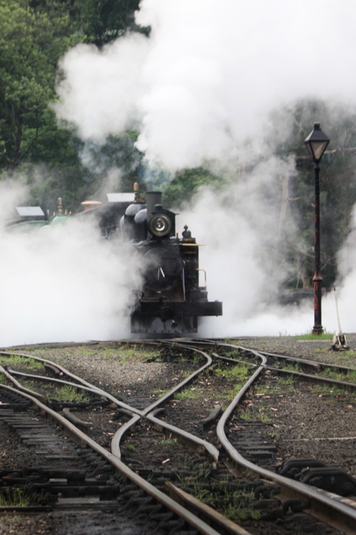 The train The train