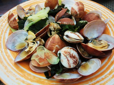 [IMG_5361%255B6%255D.jpg]