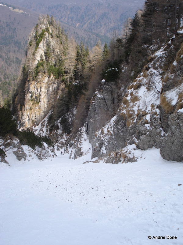 DSC00106.jpg