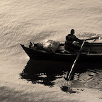 Fishing in Suez Canal, Egypt