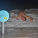 olympia_pool_06.jpg