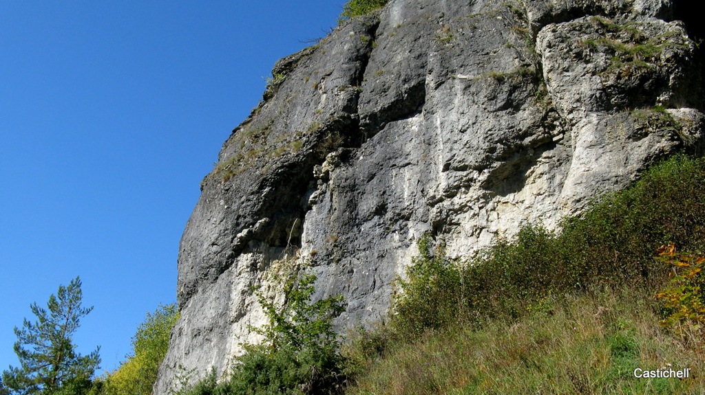 [IMG_8629%255B4%255D.jpg]