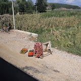 IMG_4557.JPG