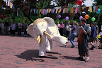 IMG_0626.jpg