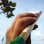 Tin whistle