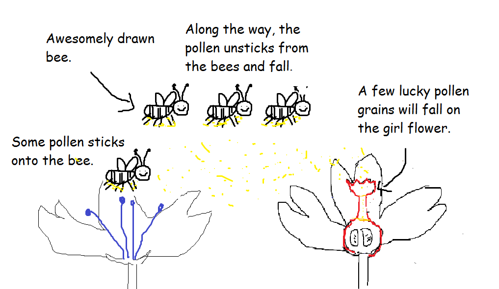 [Bees%255B4%255D.png]